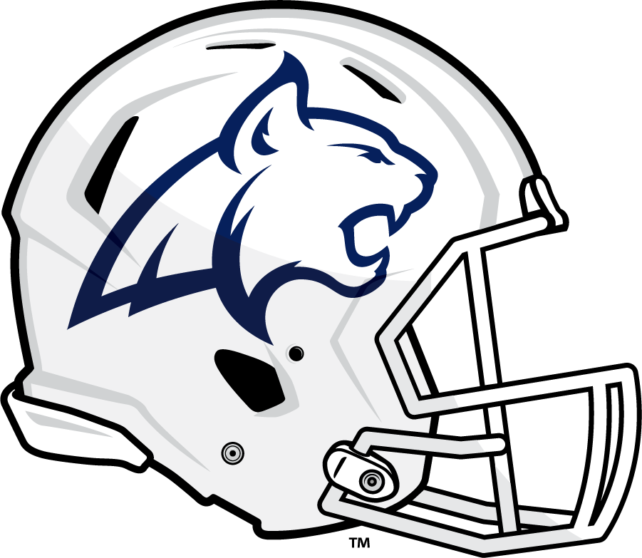Montana State Bobcats 2016-Pres Helmet Logo diy iron on heat transfer...